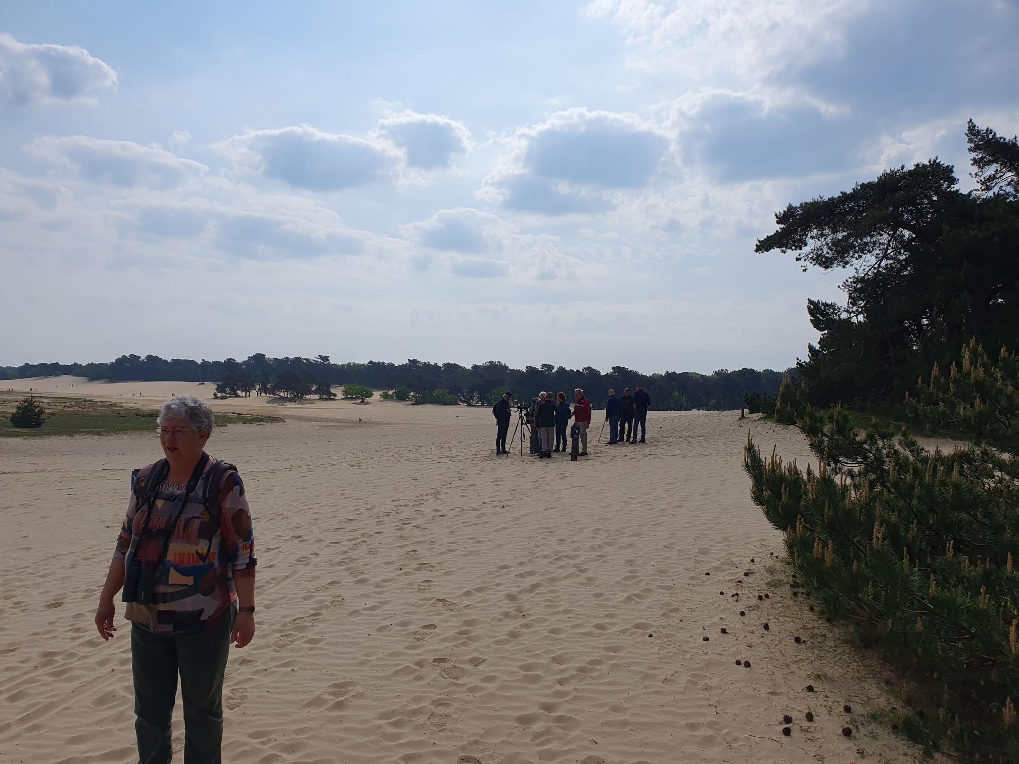 Vogelaars (Loonse En Drunense Duinen). Foto van Johan Meijer.